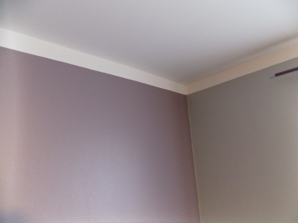 Plinthe et plafond vidal peinture